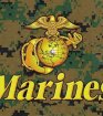 Флаг ROTCHO US Marines Woodland Digital